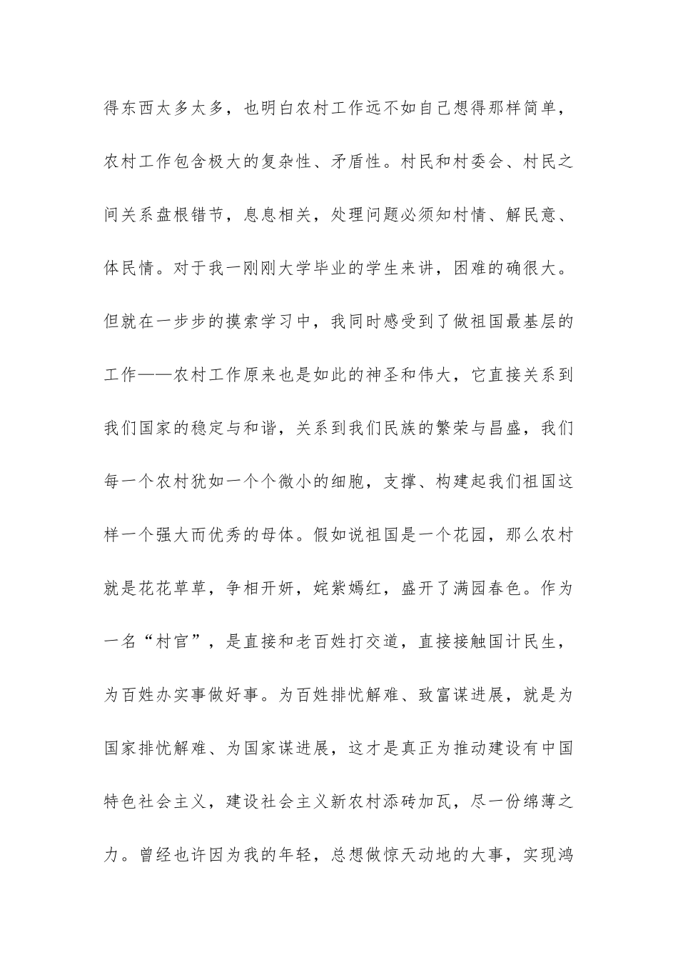 2024年村支书助理个人总结-_第3页