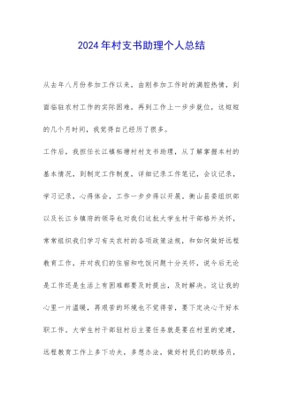 2024年村支书助理个人总结-