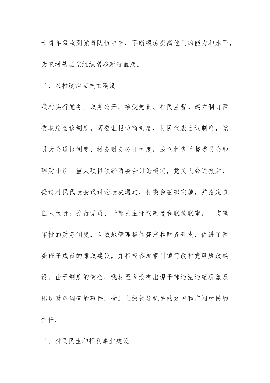 2024年村委党建工作总结-_第3页