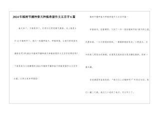 2024年植树节播种春天种植希望作文五百字6篇