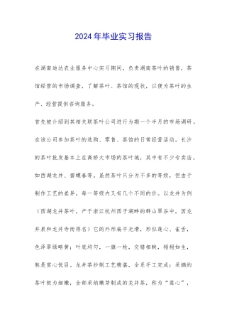 2024年毕业实习报告-