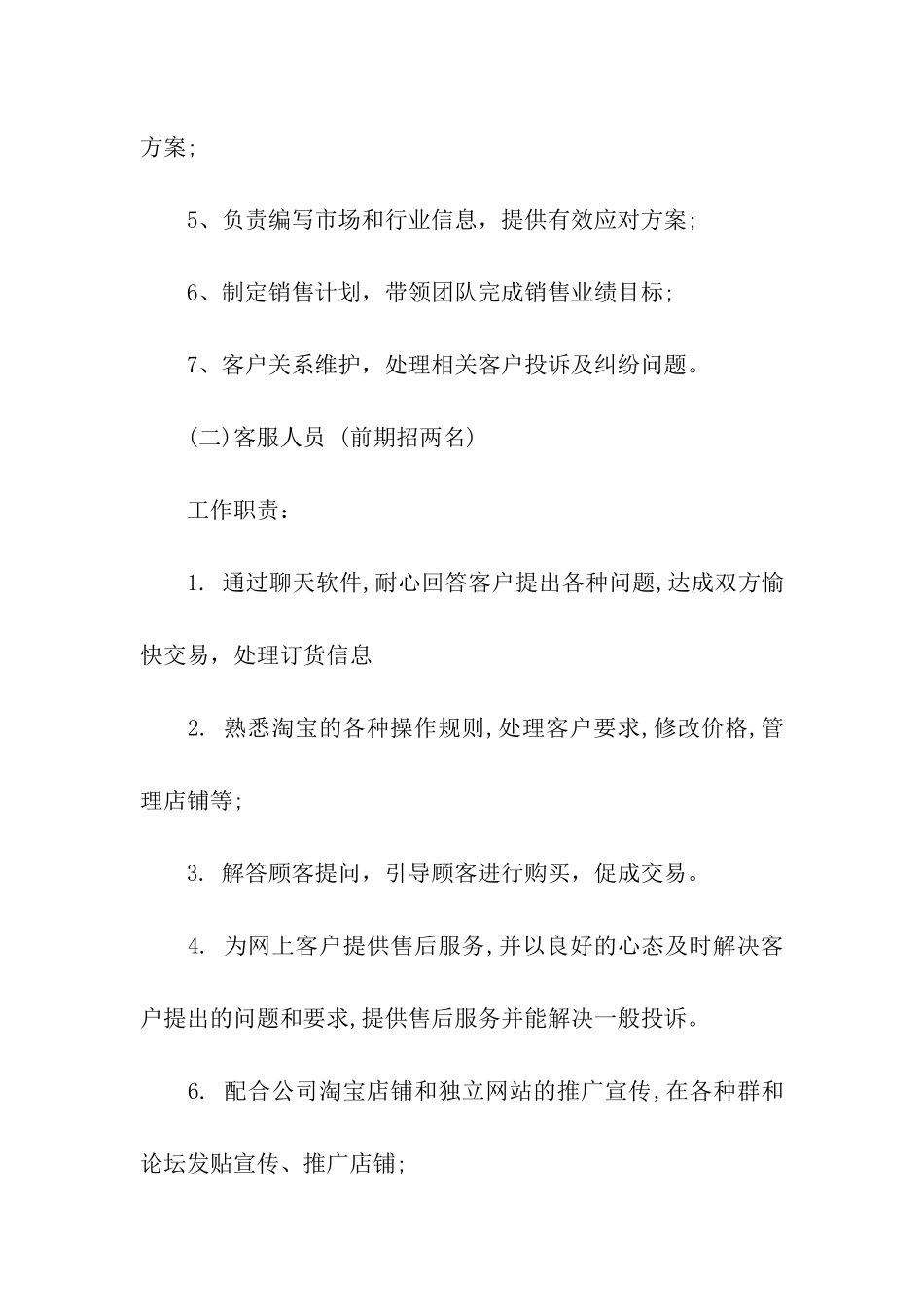 2024年淘宝网店运营方案_第2页