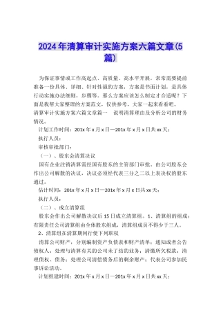 2024年清算审计实施方案六篇文章