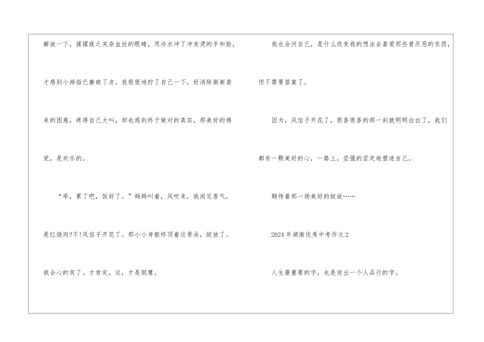 2024年湖南优秀中考作文5篇_第3页