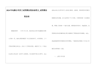 2024年电器公司员工试用期自我总结范文试用期自我总结