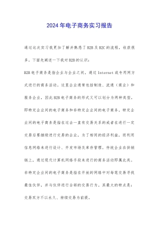 2024年电子商务实习报告-