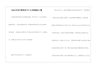 2024年电子商务实习个人自我鉴定5篇