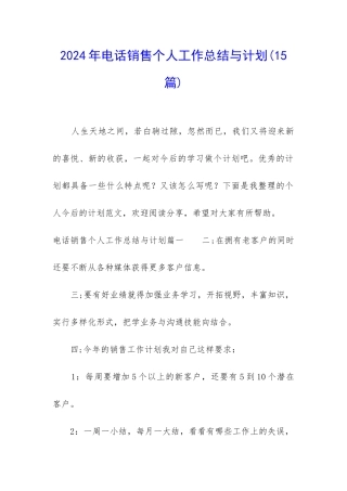 2024年电话销售个人工作总结与计划