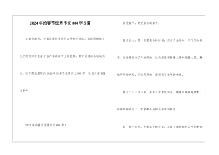 2024年的春节优秀作文800字5篇