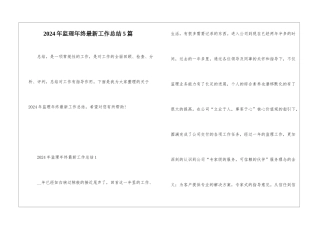 2024年监理年终最新工作总结5篇