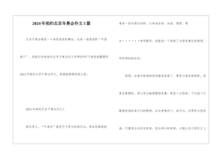2024年相约北京冬奥会作文5篇