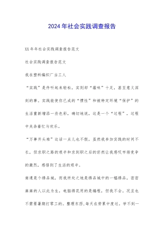 2024年社会实践调查报告-