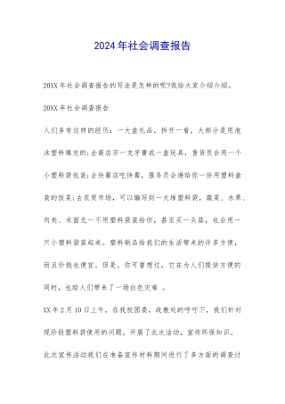 2024年社会调查报告-