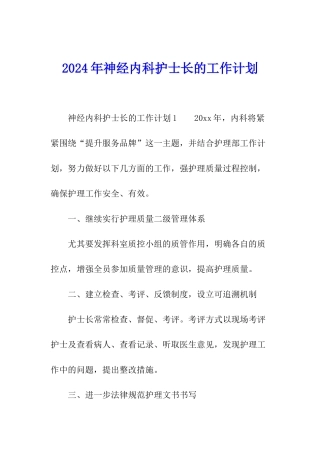 2024年神经内科护士长的工作计划