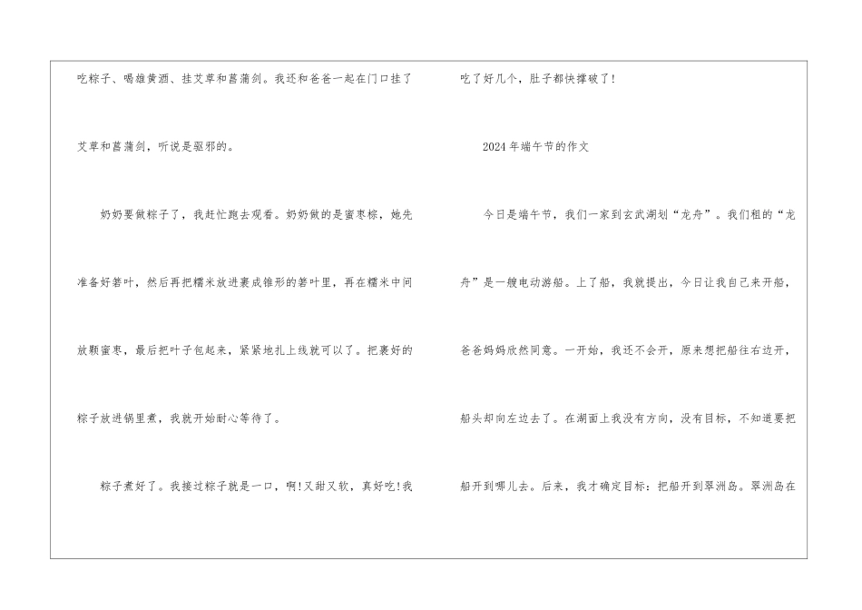 2024年端午节的作文10篇最新_第2页