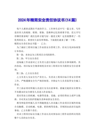 2024年精简安全责任协议书