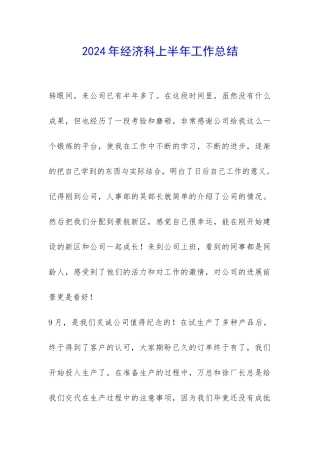 2024年经济科上半年工作总结-