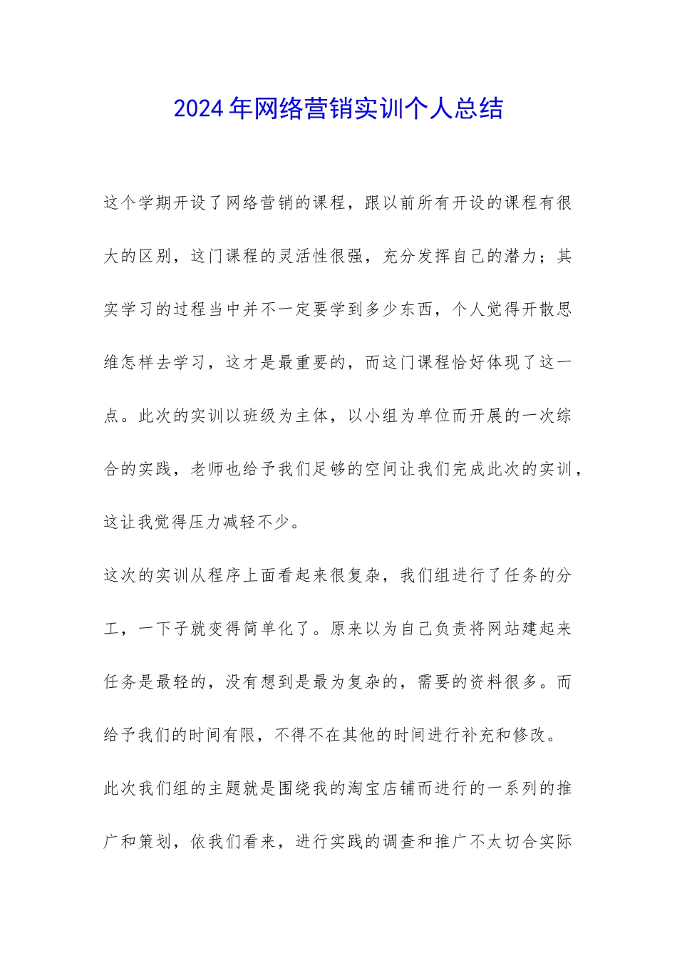 2024年网络营销实训个人总结-_第1页