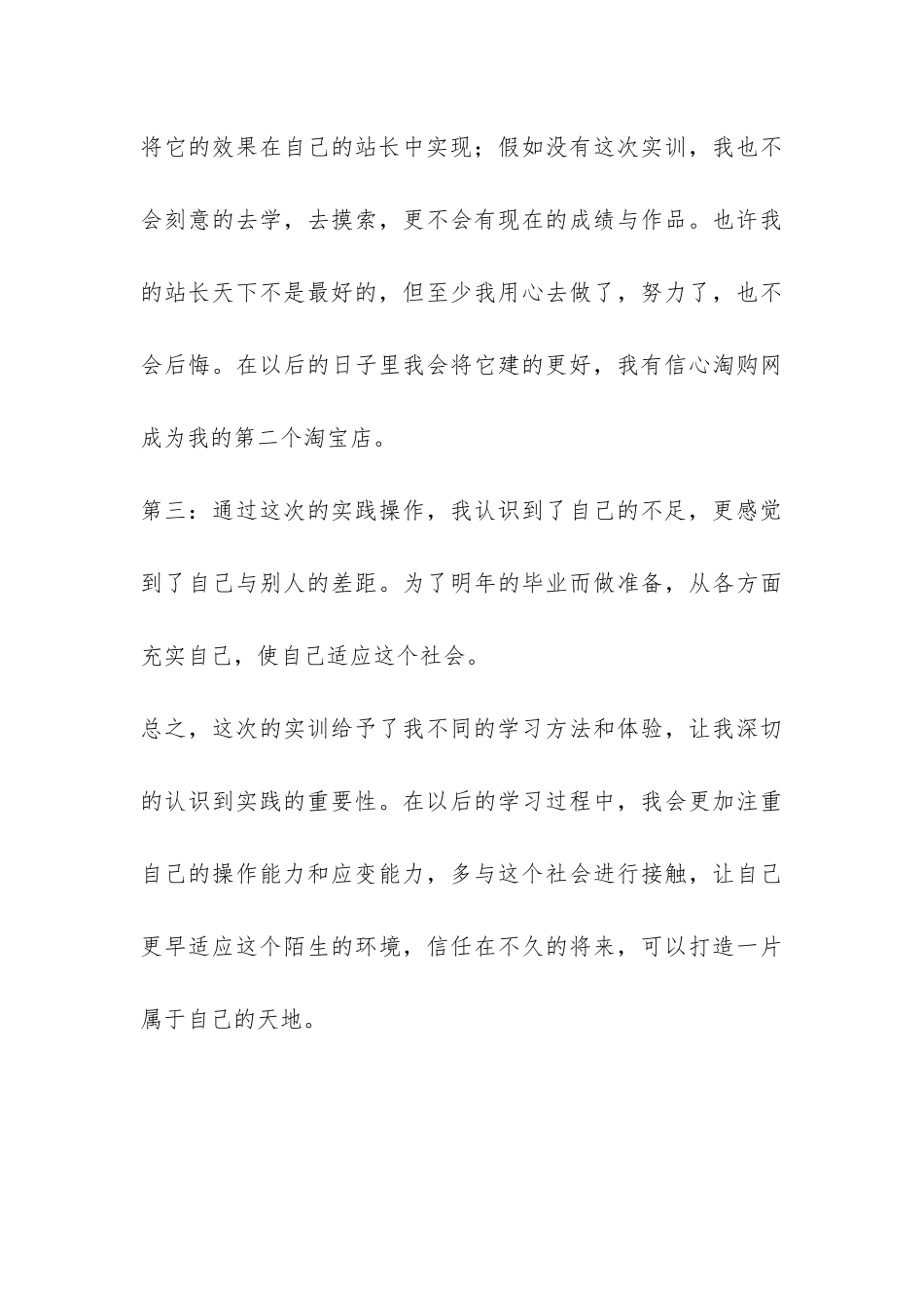 2024年网络营销实训个人总结-_第3页