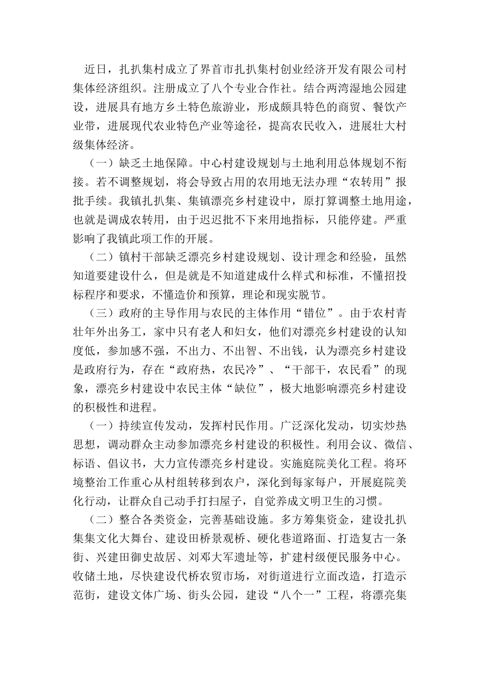 2024年美丽乡村建设调查报告总结_第3页