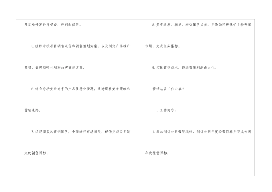 2024年营销总监工作内容_第2页