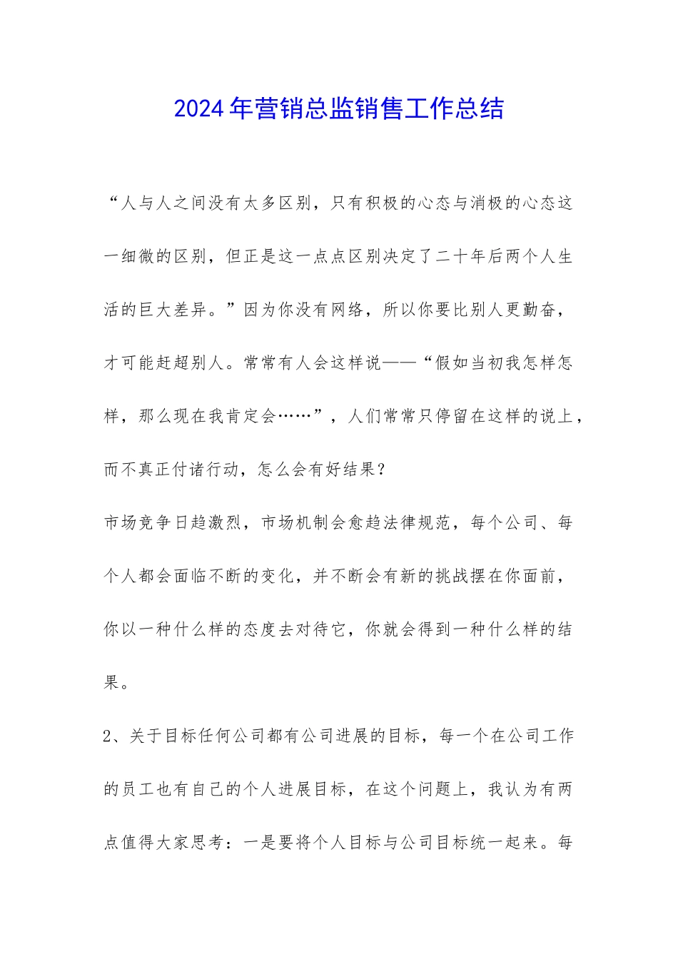 2024年营销总监销售工作总结-_第1页