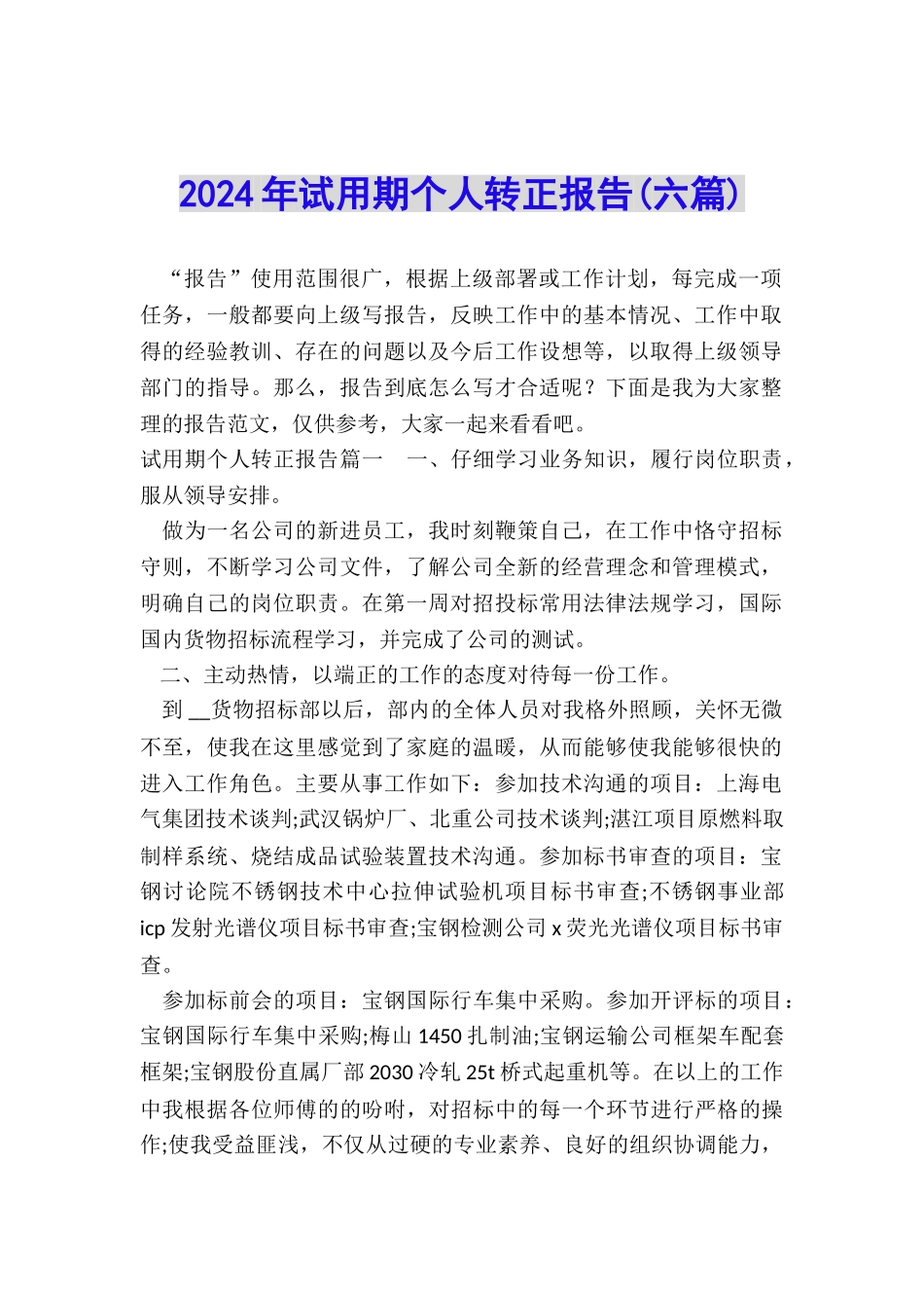 2024年试用期个人转正报告_第1页