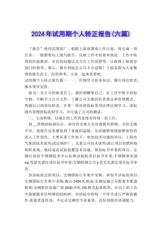 2024年试用期个人转正报告