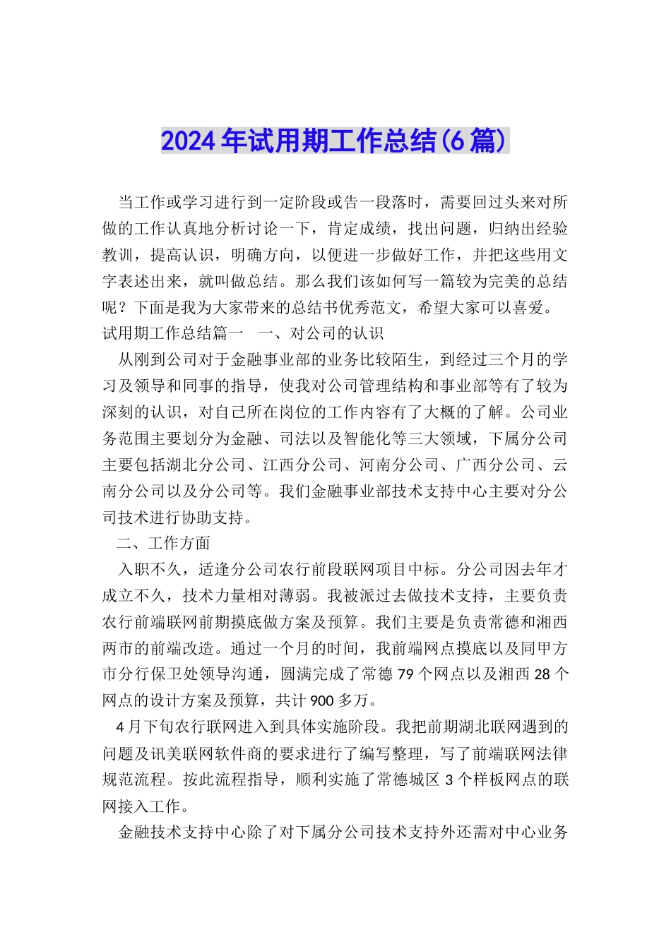 2024年试用期工作总结_第1页