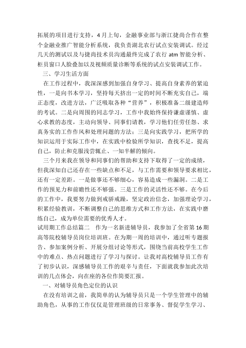 2024年试用期工作总结_第2页