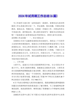2024年试用期工作总结