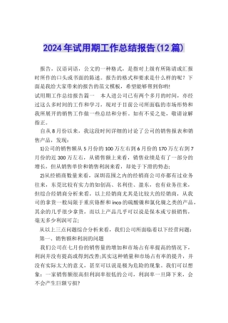 2024年试用期工作总结报告