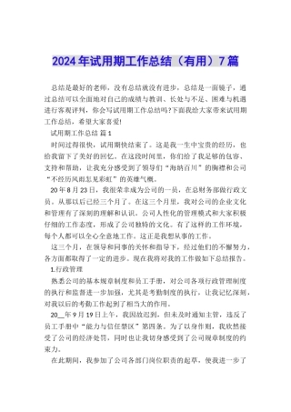2024年试用期工作总结(实用)7篇