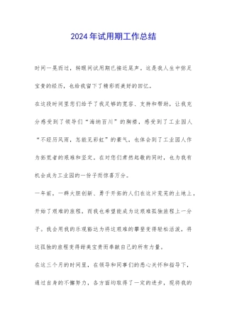 2024年试用期工作总结-