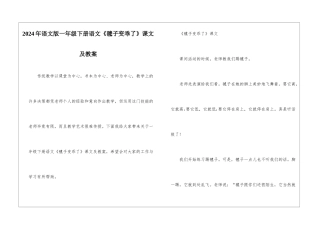 2024年语文版一年级下册语文《毽子变乖了》课文及教案