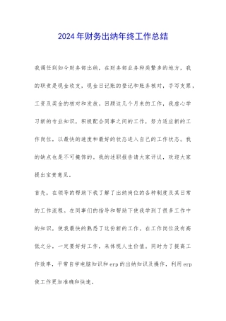 2024年财务出纳年终工作总结-