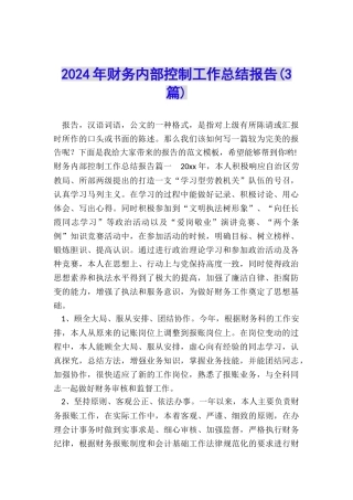 2024年财务内部控制工作总结报告
