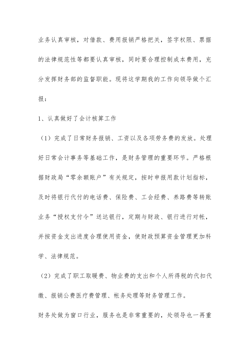 2024年财务处会计个人工作总结-_第2页