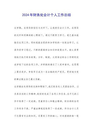 2024年财务处会计个人工作总结-