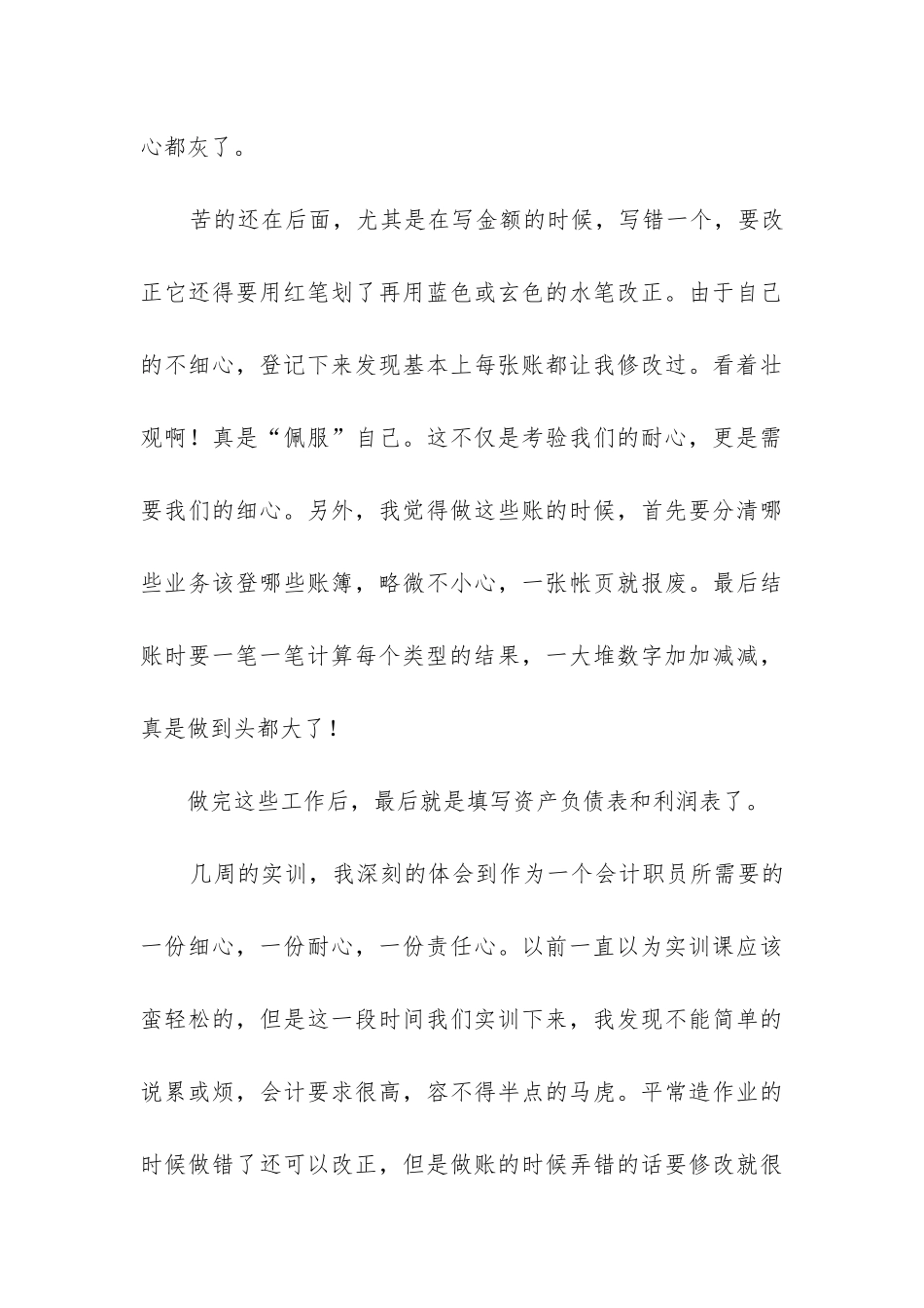 2024年财务实训心得_第3页