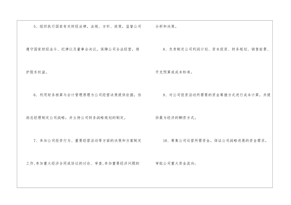 2024年财务总监工作岗位职责_第2页
