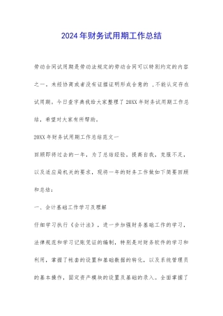 2024年财务试用期工作总结-