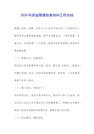 2024年资金管理自查自纠工作总结-