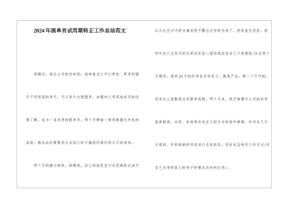 2024年跟单员试用期转正工作总结范文