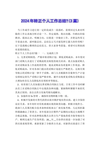 2024年转正个人工作总结-