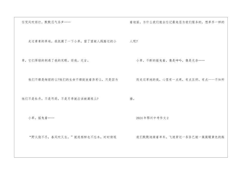 2024年鄂州中考作文5篇_第3页