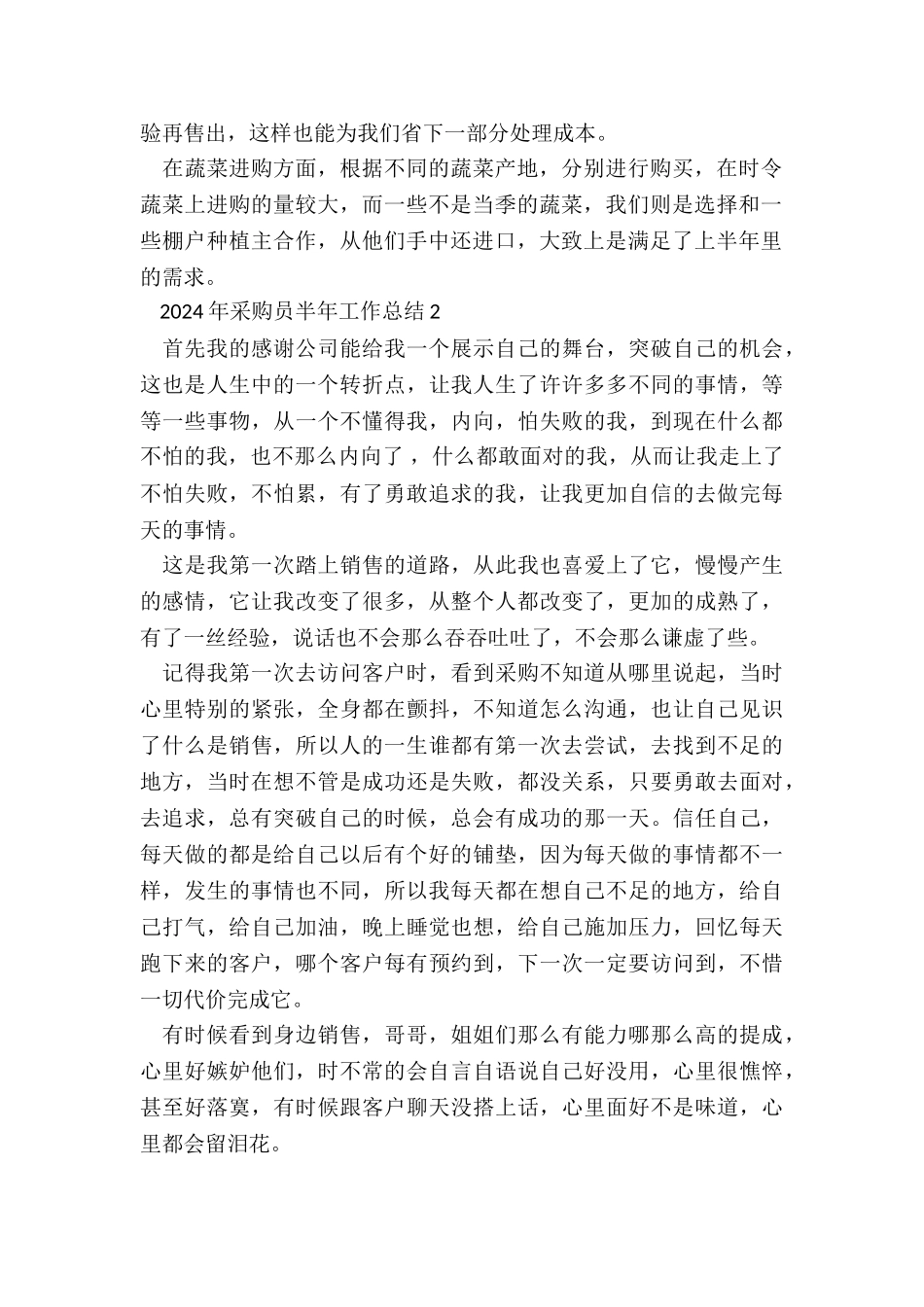 2024年采购员半年工作总结5篇_第2页