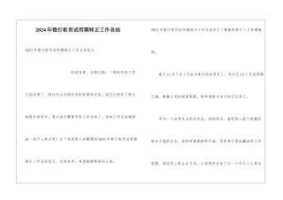 2024年银行柜员试用期转正工作总结