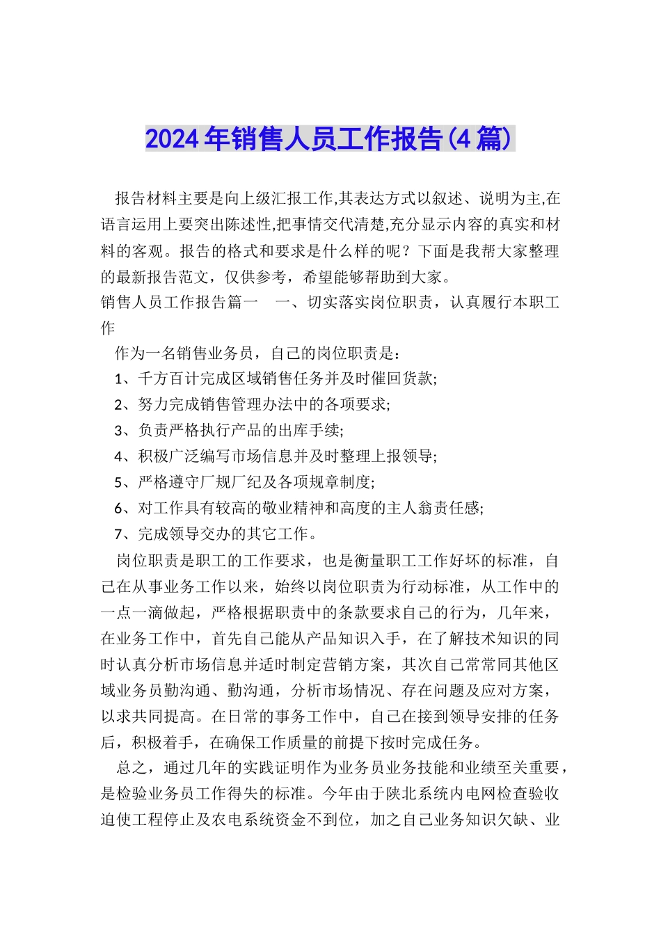 2024年销售人员工作报告_第1页