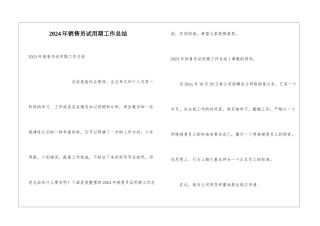 2024年销售员试用期工作总结